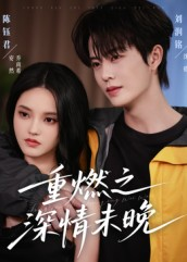 重燃之深情未晚(70集) 重燃之深情未晚(70集)精彩短剧推荐