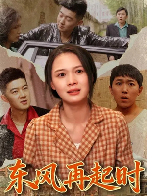 东风再起时(112集) 东风再起时(112集)让你一口气看完