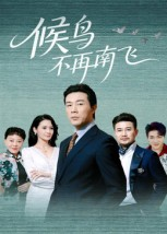 候鸟不再南飞（80集）短剧解说热门