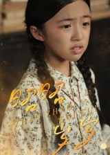 昭昭岁岁（30集）短剧小说在线看