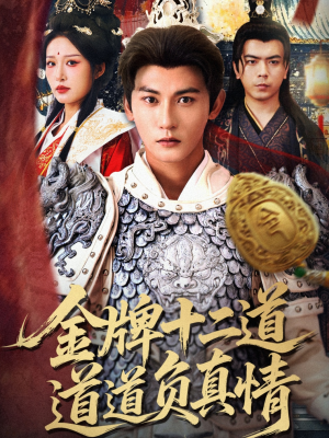 金牌十二道道道负真情（70集）全剧免费观看
