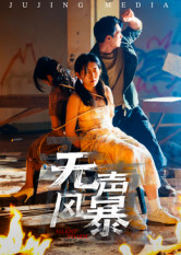 无声风暴（33集）精彩短剧合集