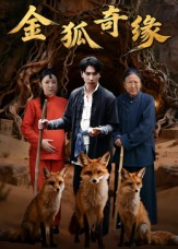 金狐奇缘（42集）免费短剧资源
