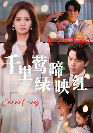 千里莺啼绿映红（63集）去哪里看