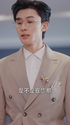 画中妻(30集) 画中妻(30集)解说