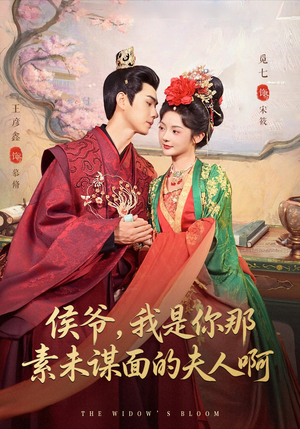 侯爷我是你那素未谋面的夫人啊（80集）红果短剧免费看