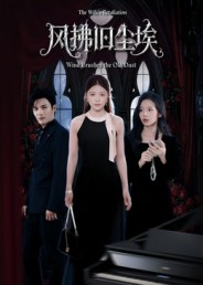 风拂旧尘埃（70集）精彩短剧上线