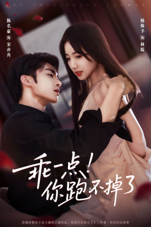 乖一点!你跑不掉了(80集) 乖一点!你跑不掉了(80集)免费全集短剧