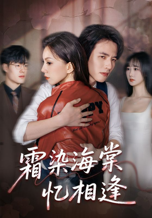 霜染海棠忆相逢（72集）分享热门短剧