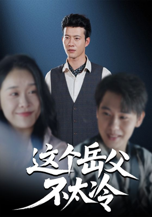 这个岳父不太冷（30集）网上可以看吗