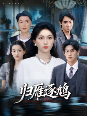 归雁逐鸠（60集）热门短剧又来了