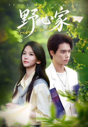 野心家（65集）在线看完整版