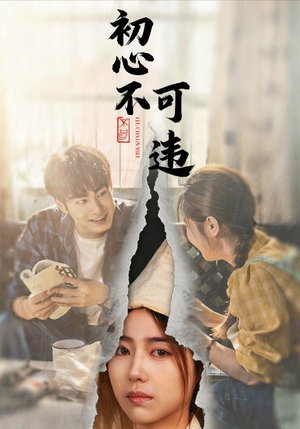 初心不可违（62集）在线免费观影