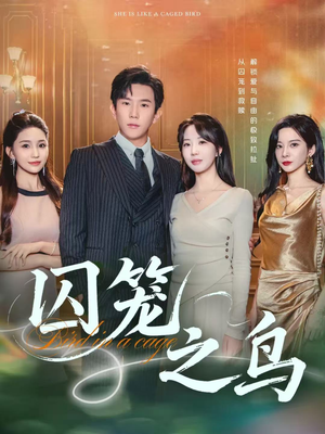 囚笼之鸟（52集）热播短剧追不停