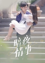 暗夜情事（100集）短剧推荐分享