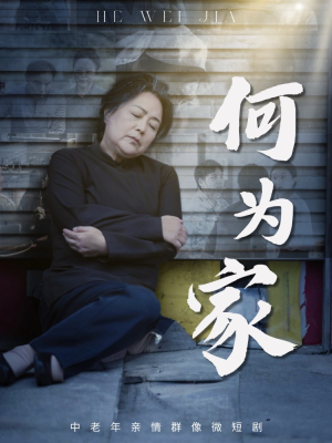 何为家(60集) 何为家(60集)短剧在线观看