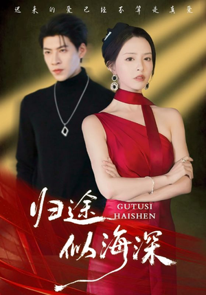 归途似海深（61集）大结局完美收官