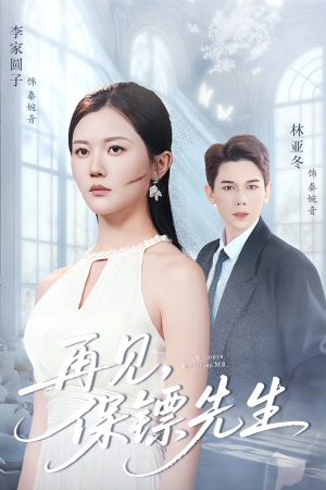 再见保镖先生(51集) 再见保镖先生(51集)推荐你们也去看