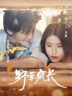 野草疯长(71集) 野草疯长(71集)最新短剧推荐