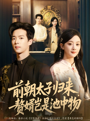 前朝太子归来，赘婿岂是池中物（80集）解说