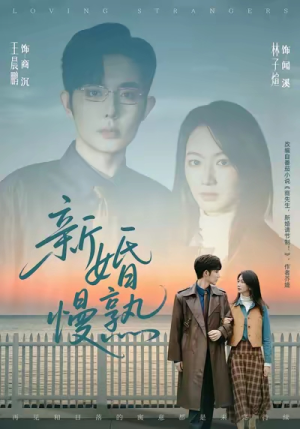 新婚慢熟（105集）精彩好看的短剧