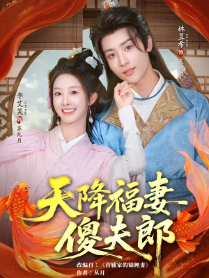 天降福妻傻夫郎（85集）全集一次看完