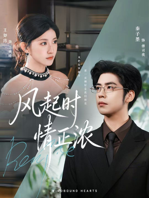 风起时情正浓(79集) 风起时情正浓(79集)推荐好短剧