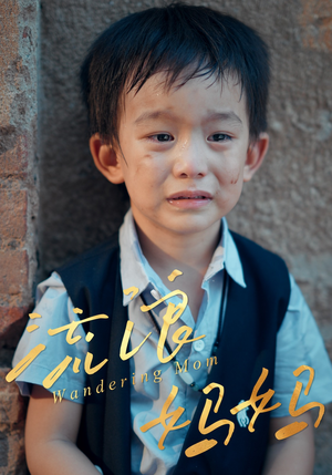 流浪妈妈（30集）短剧热门合集