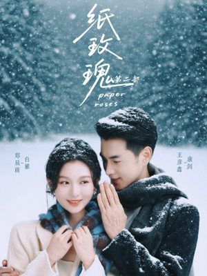 纸玫瑰第二部（80集）热门短剧追到爽