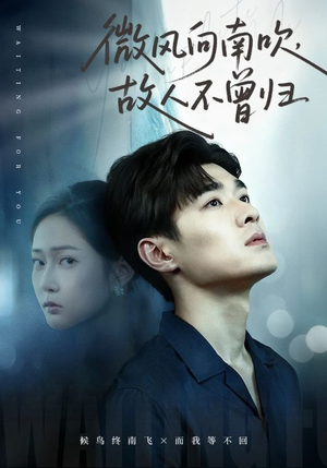 微风向南吹，故人不曾归（72集）大结局完美收官