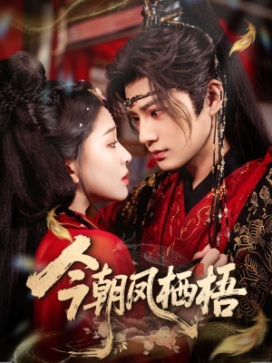 今朝凤栖梧（68集）短剧太精彩了