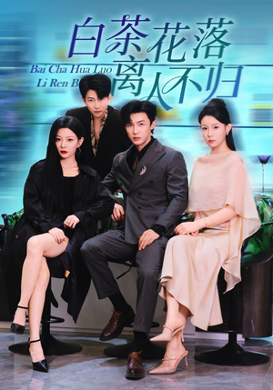 白茶花落离人（51集）360网盘观看
