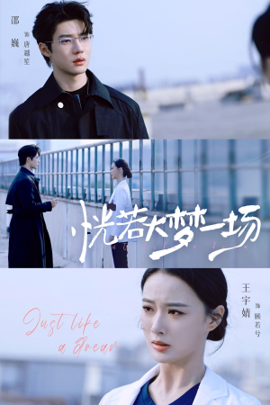 恍若大梦一场（53集）在线观看全集