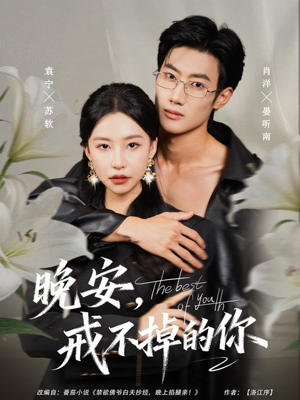 晚安，戒不掉的你（68集）超级好看的短剧