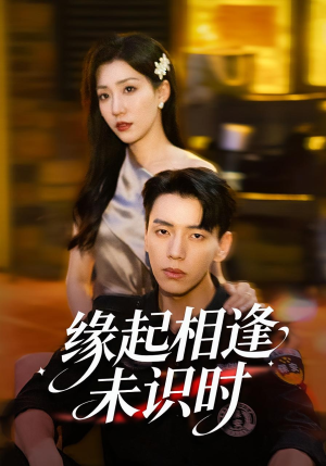 缘起相逢未识时（57集）精彩短剧热播中