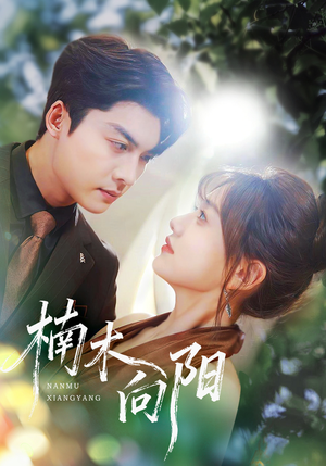 楠木向阳（70集）短剧太上头了