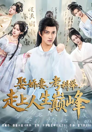 娶娇妻，考科举，走上人生巅峰（80集）好看短剧分享