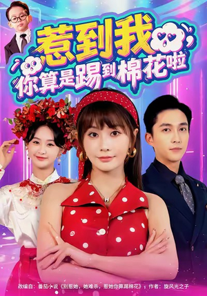 惹到我,你算是踢到棉花啦(67集) 惹到我,你算是踢到棉花啦(67集)在线看