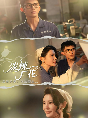 泼辣厂花（68集）热门短剧追不停