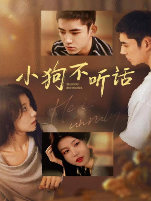 小狗不听话(70集) 小狗不听话(70集)免费短剧全集看