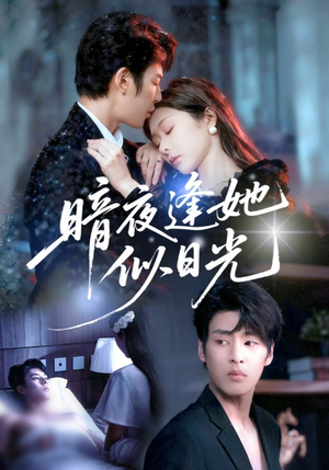 暗夜逢她似日光(72集) 暗夜逢她似日光(72集)女主角是谁