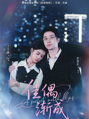 佳偶渐成(71集) 佳偶渐成(71集)真的太好看了