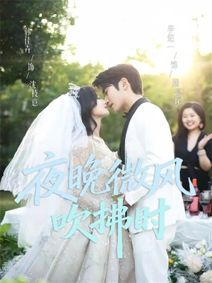 夜晚微风吹拂时(61集) 夜晚微风吹拂时(61集)温柔追捕短剧