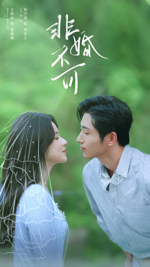 非婚不可(65集) 非婚不可(65集)免费短剧看不停