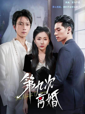 第九次离婚（62集）在线免费观看