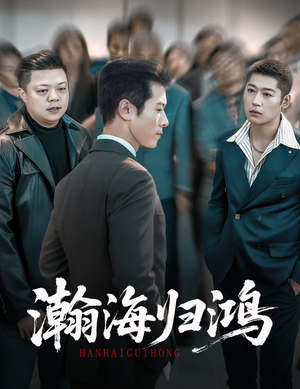 瀚海归鸿（74集）迅雷网盘观看