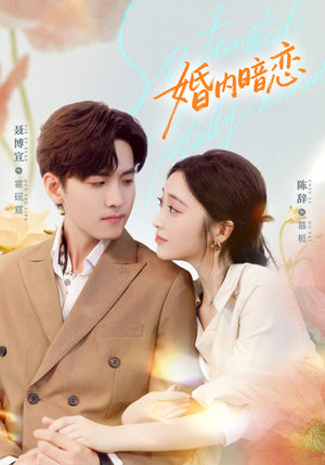 婚内暗恋（80集）深深爱上这部剧