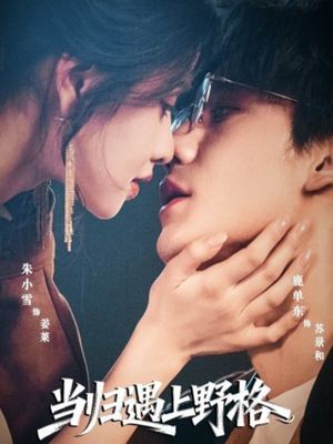 当归遇上野格（66集）火爆短剧推荐