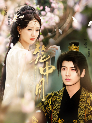 笼中月(65集) 笼中月(65集)怎么看全集