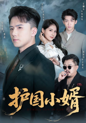 护国小婿（60集）免费短剧就是爽